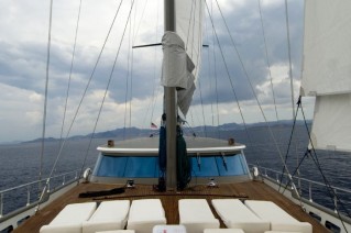 Tiger - Foredeck